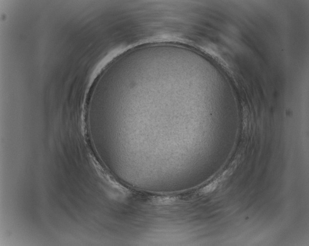 X0000067911278200604131334