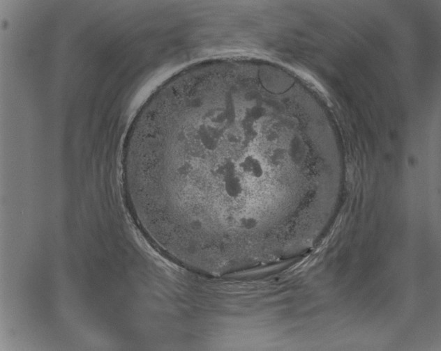 X0000067911279200604131334