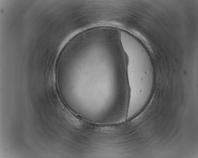 X0000067911280200604131334