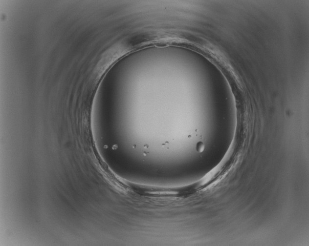 X0000067911281200604131334