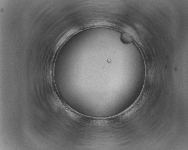 X0000067911282200604131334