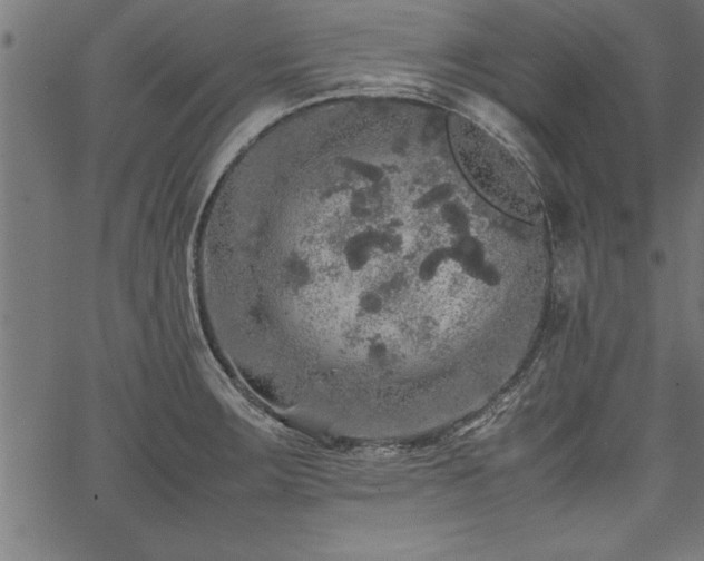 X0000067911283200604131334