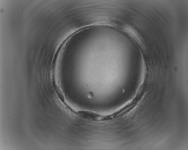 X0000067911284200604131334