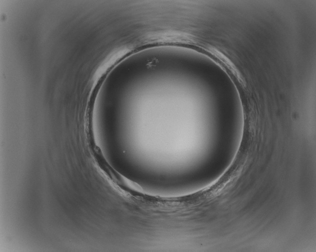 X0000067911285200604131334