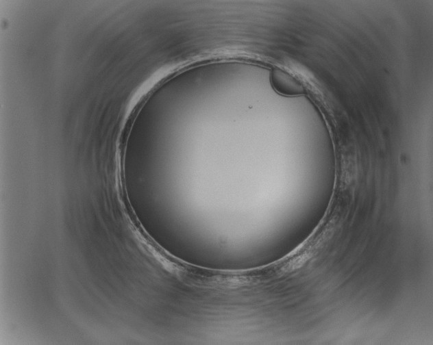 X0000067911286200604131334