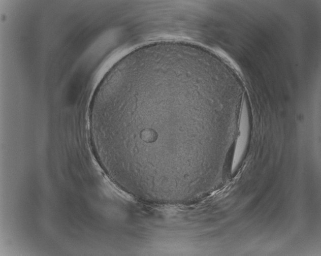 X0000067911287200604131334