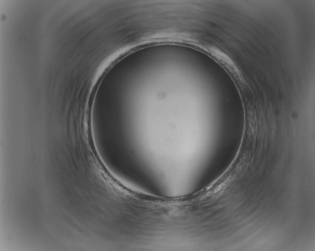 X0000067911288200604131334