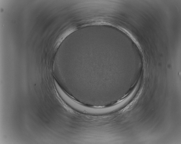 X0000067911289200604131334