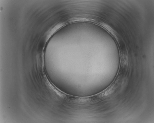 X0000067911290200604131334