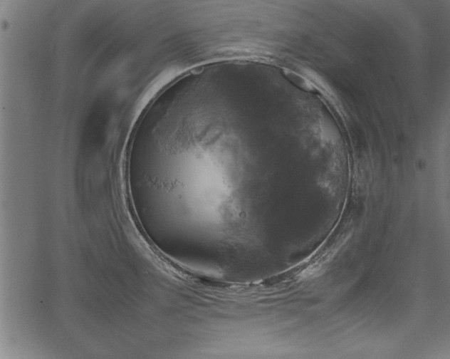 X0000067911291200604131334