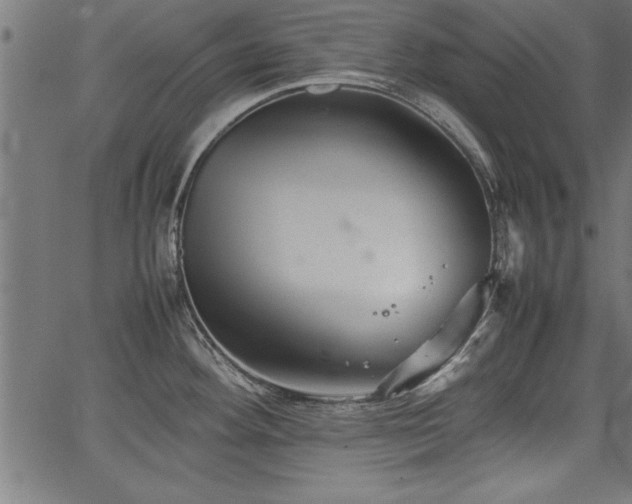 X0000067911292200604131334