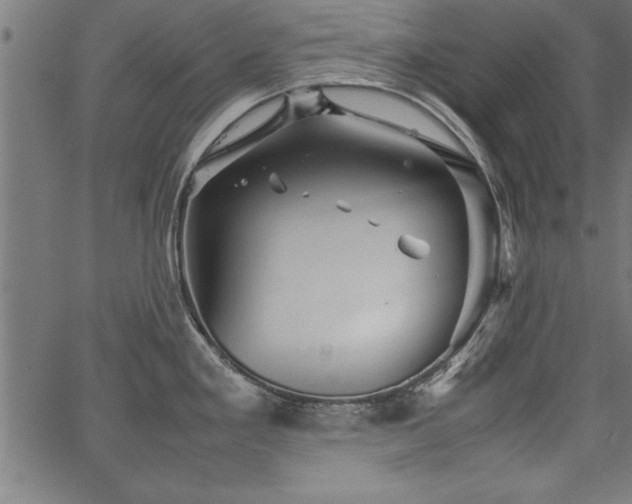 X0000067911293200604131334