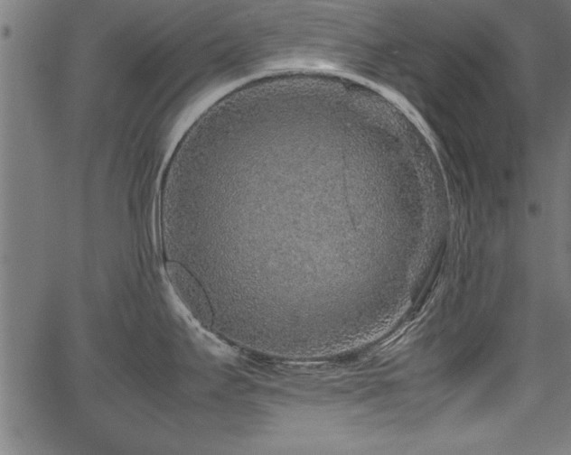 X0000067911295200604131334