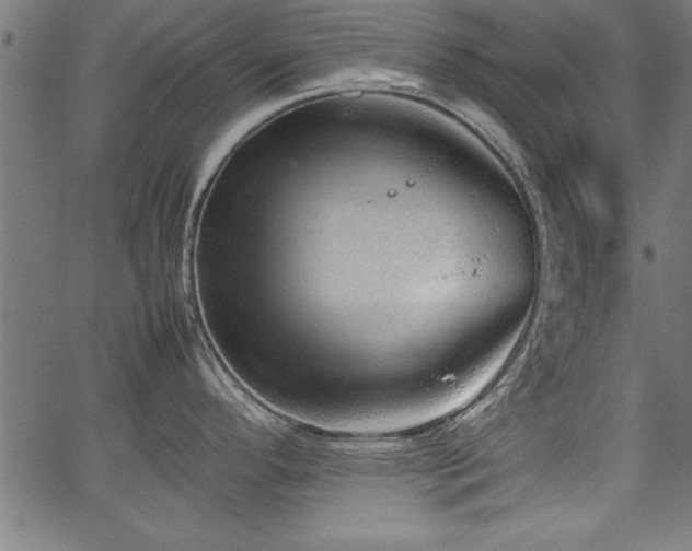 X0000067911296200604131334