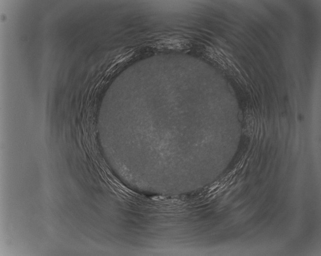 X0000067911297200604131333