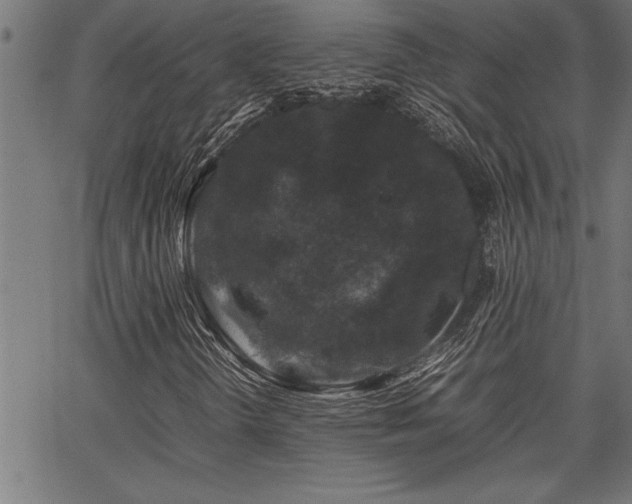 X0000067911298200604131333