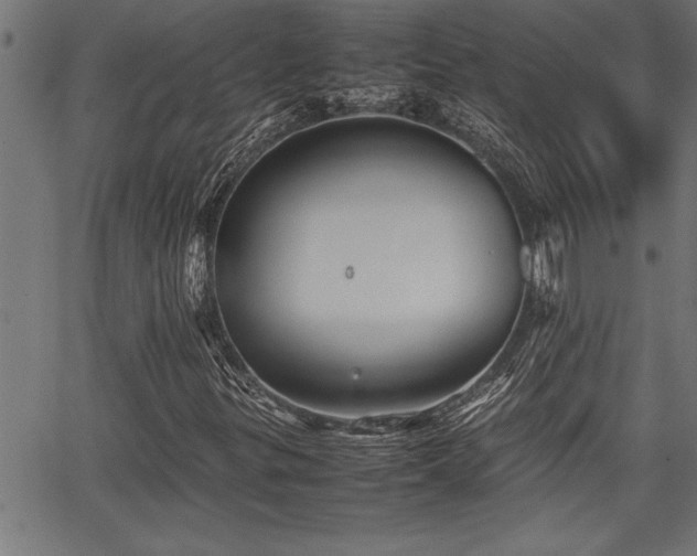 X0000067911299200604131333