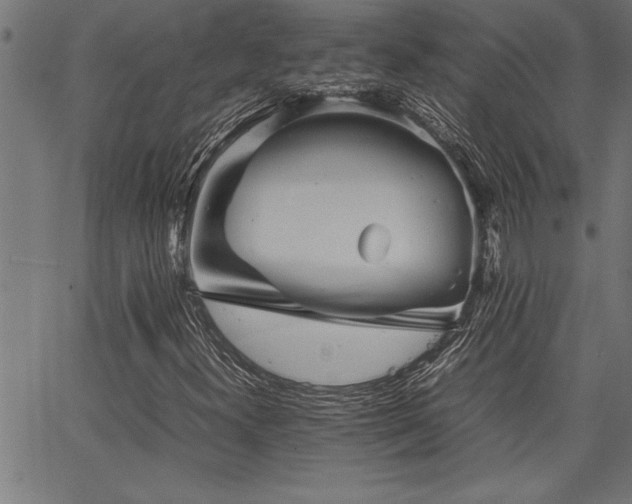 X0000067911300200604131333