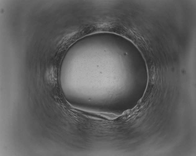 X0000067911301200604131333