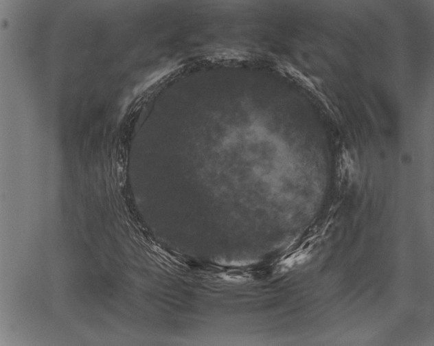 X0000067911303200604131333