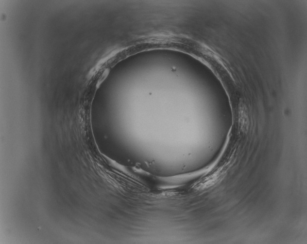 X0000067911304200604131333