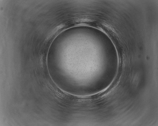 X0000067911305200604131333