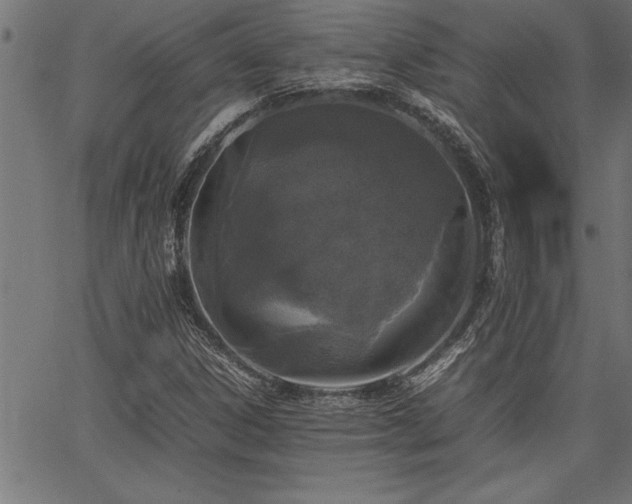 X0000067911306200604131333