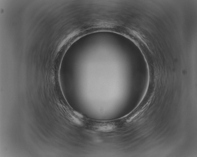 X0000067911307200604131333