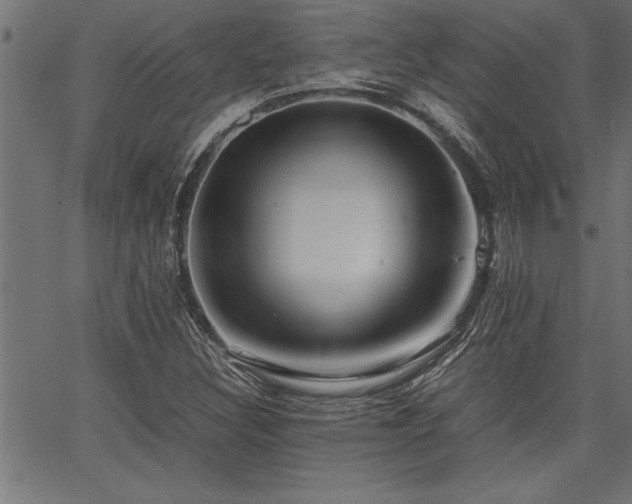 X0000067911308200604131333