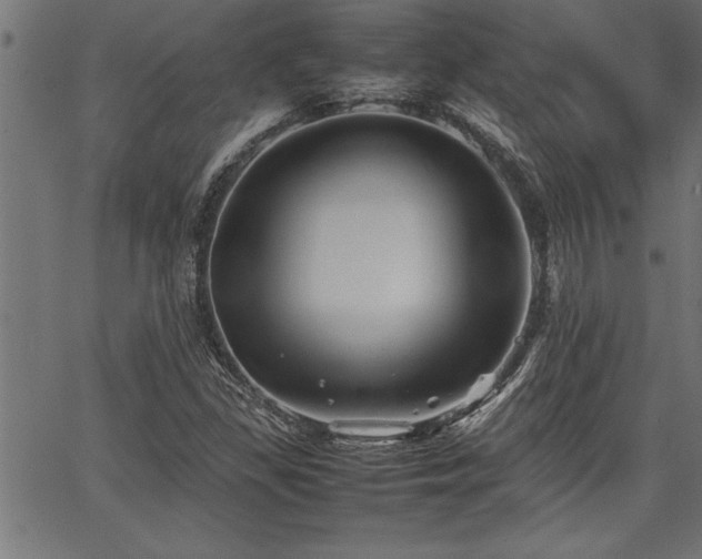 X0000067911309200604131333