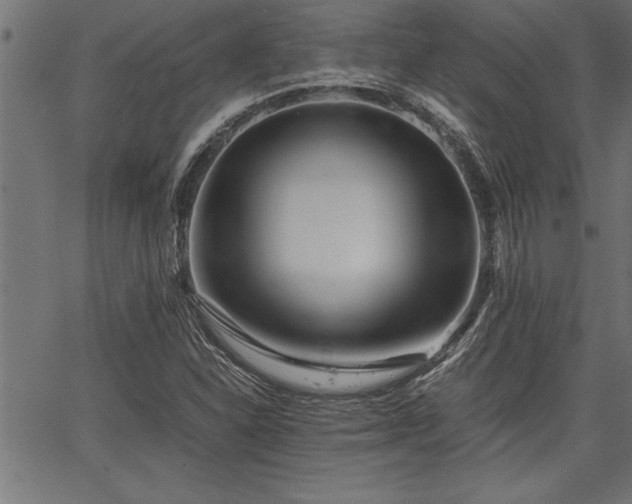 X0000067911310200604131333