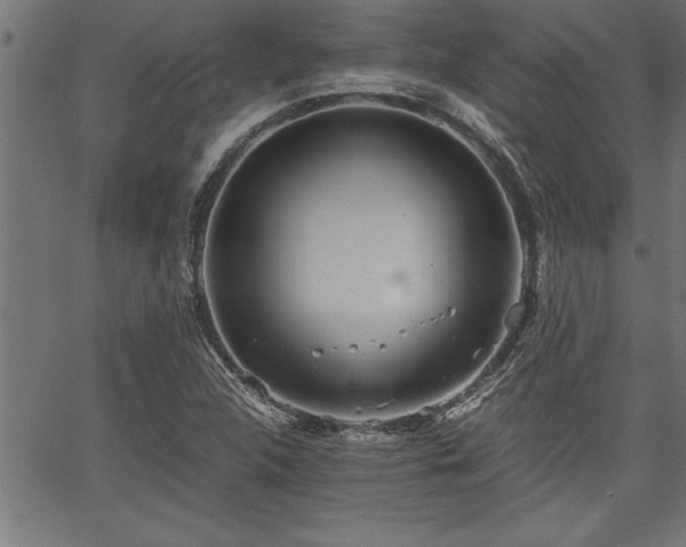 X0000067911312200604131333