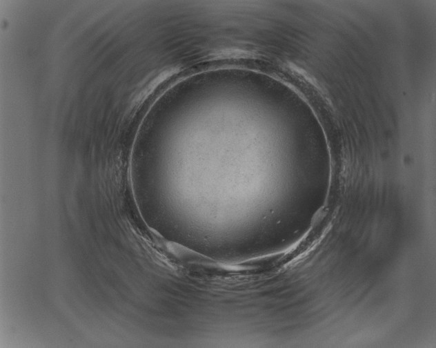 X0000067911313200604131333