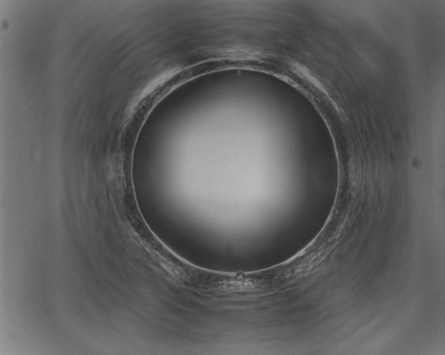 X0000067911315200604131333