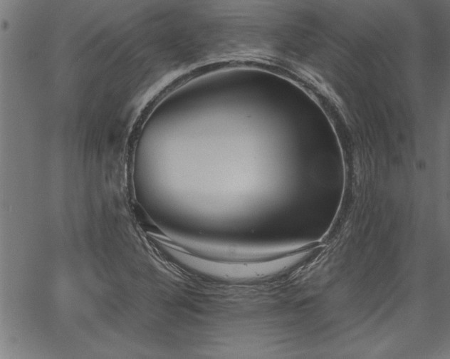 X0000067911316200604131333