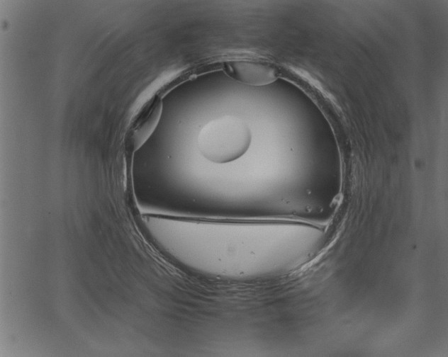 X0000067911317200604131333