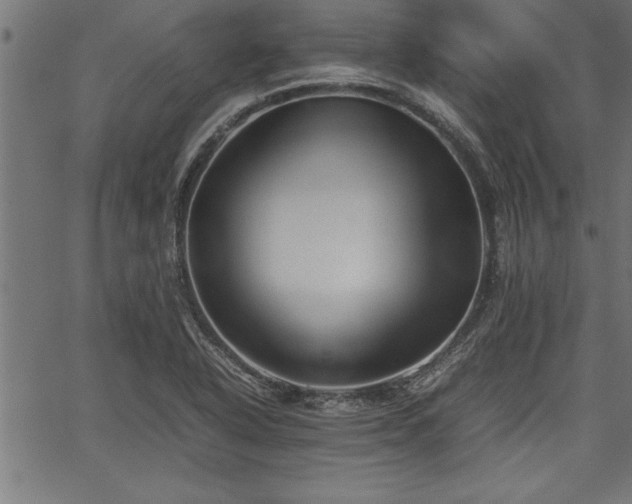 X0000067911318200604131333