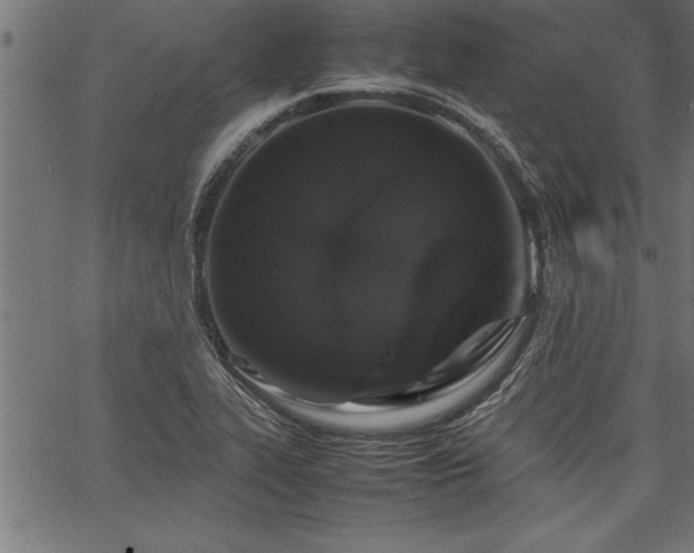 X0000067911319200604131333