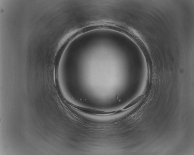 X0000067911320200604131333