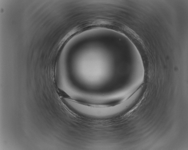 X0000067911321200604131333