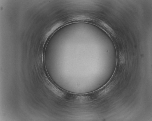 X0000067911322200604131333