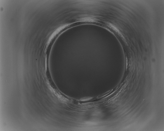 X0000067911323200604131333