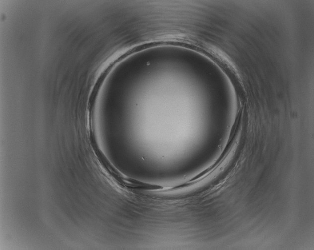 X0000067911324200604131333