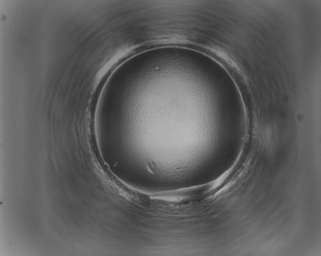 X0000067911325200604131334