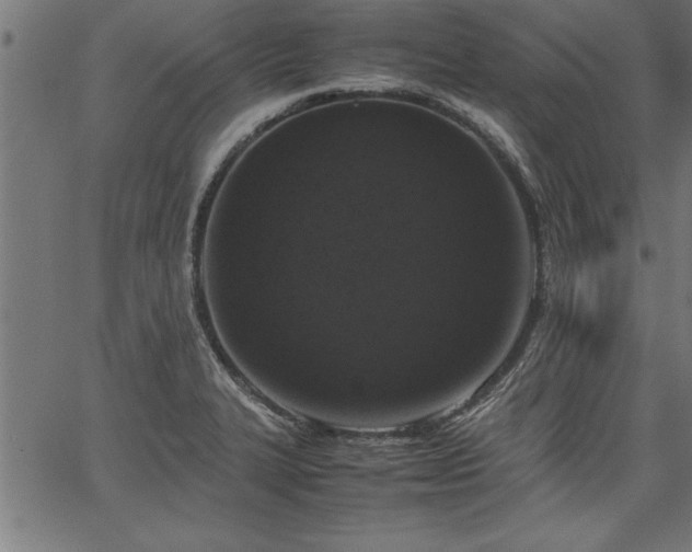 X0000067911327200604131334