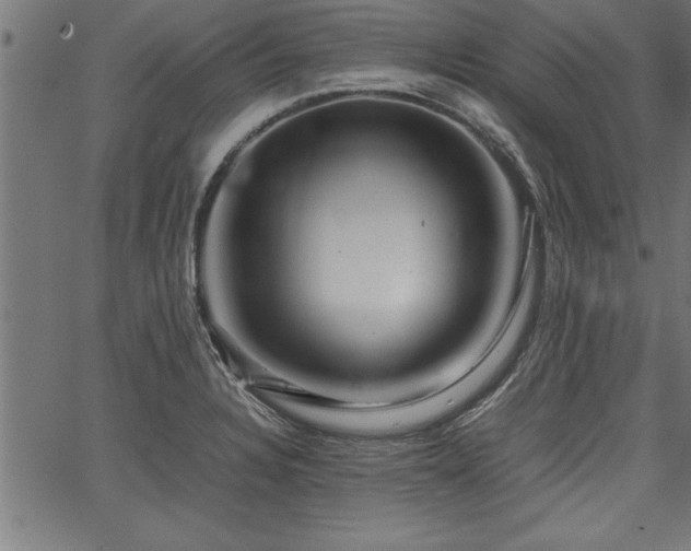 X0000067911328200604131334