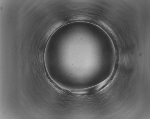 X0000067911329200604131334