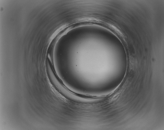 X0000067911330200604131334