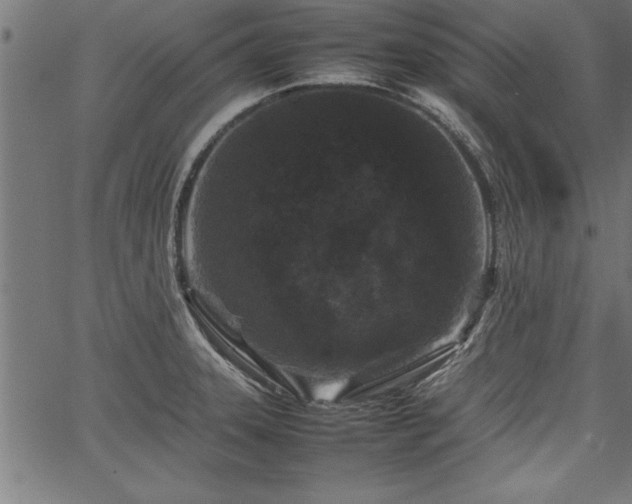 X0000067911331200604131334