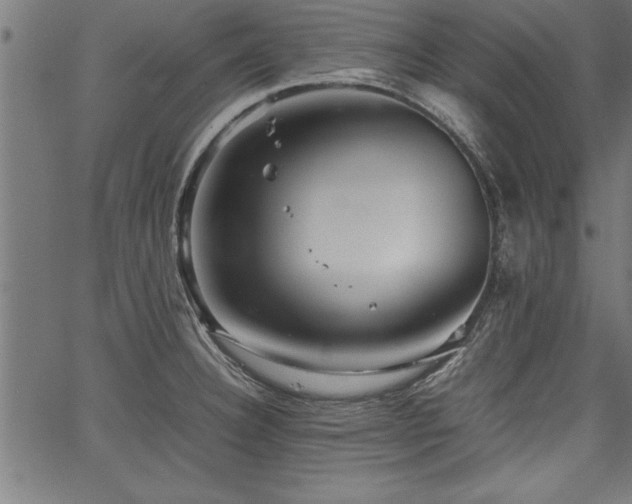 X0000067911332200604131334